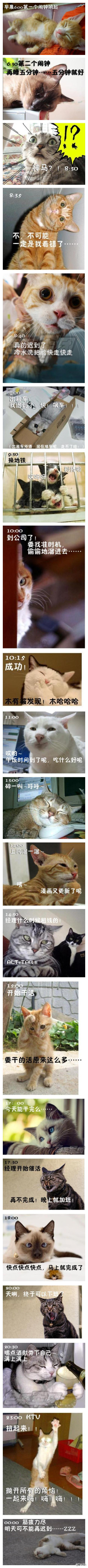 ˴һ